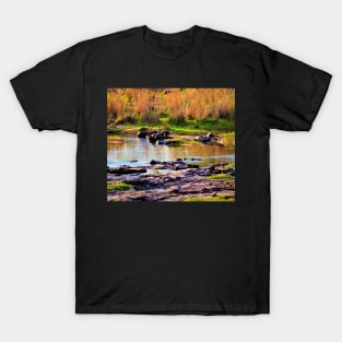 Water Buffalo in Crocodile River T-Shirt